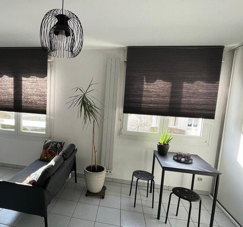 Zen-Itude Leilighet Strasbourg Eksteriør bilde